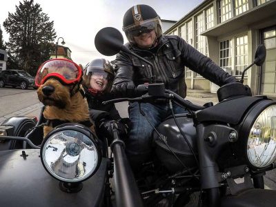 How to Carry a Dog on Your Motorcycle – Easy Tips for Safe Travel