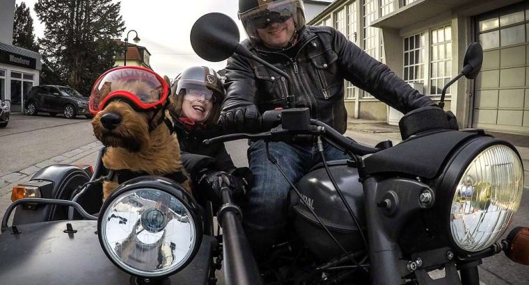 How to Carry a Dog on Your Motorcycle – Easy Tips for Safe Travel